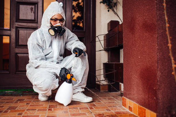 Attic and Crawl Space Rodent Treatment in Wartburg