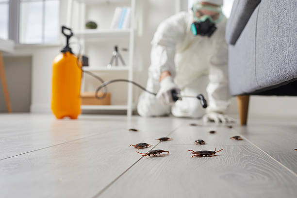 Commercial Rodent Management in Wartburg